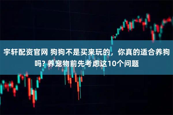 宇轩配资官网 狗狗不是买来玩的，你真的适合养狗吗? 养宠物前先考虑这10个问题